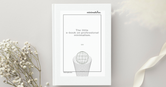 The Little E-book On Professional Minimalism