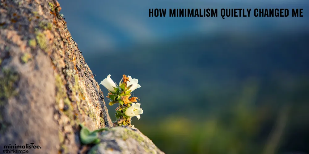 what is minimalism
